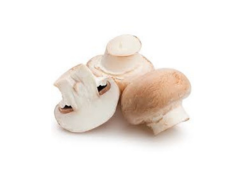 Button Mushroom-image