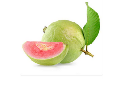 Guava-image