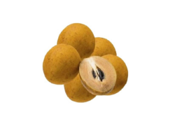 Sapota-image