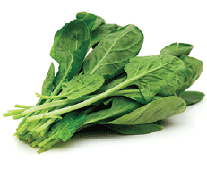Leafy Vegetables-image